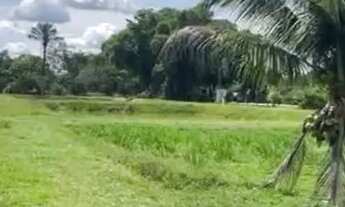 Imagem 2: Sítio 200 x 1.000 com 12 viveiro peixe Manuel Urbano 1.600.000