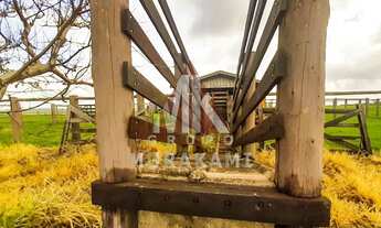 Imagem 3: FAZENDA - MARECHAL CANDIDO RONDON - PR