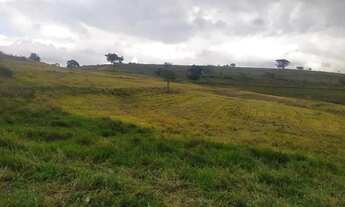 Imagem 5: Fazenda ,gado,plantio otimo investimeno.