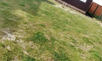 Imagem: Temporada praia de Pinhal veraneio beira