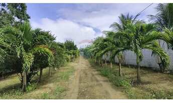 Imagem 3: Espetacular Casa de Campo em Paripueira, AL!