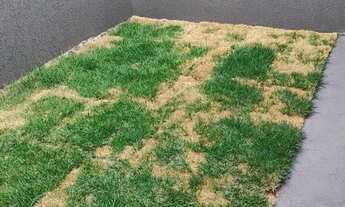 Imagem 4: Excelente Casa no Residencial Recanto do Bosque