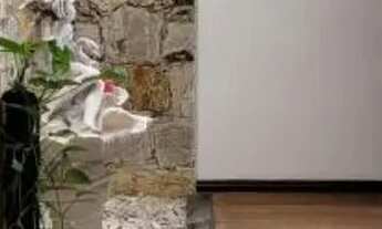 Imagem 7: CASA TÉRREA - LAPA - SP