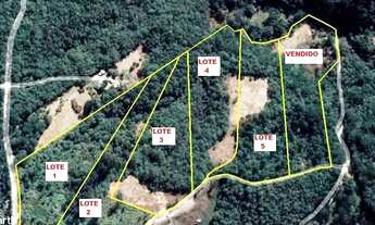 Imagem 3: Área 20.003m² Campo Largo, Bateias, doc 100%, lavoura, bosque, rio