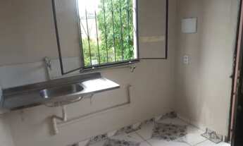 Imagem 3: Lírio do Vale I