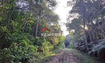 Imagem 4: Lote em Rua 10 - Colinas - São Francisco de Paula/RS