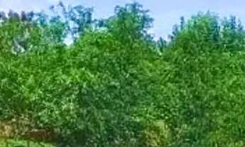 Imagem 7: Refúgio Rústico com Vista para a Pedra do Baú Viva o Novo Capítulo da Sua Paz