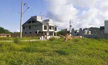 Imagem 3: Terreno para Venda em Florianópolis, Ribeirão da Ilha