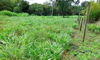 Imagem 4: Fazenda chácara granja confinamento Planaltina DF