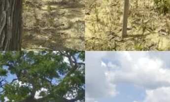 Imagem: Vendo ágio de lote em Senador Canedo