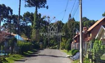 Imagem 5: Casa estilo cabana. ca402