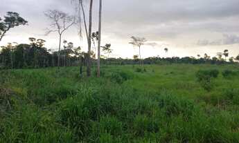 Imagem 2: CHACARA 5 ALQ. EM ROLIM DE MOURA RO