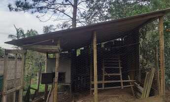 Imagem 4: Entrar e ser feliz 7 mil mts lazer e moradia