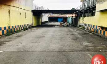 Imagem 4: São Paulo - Terreno Padrão - Moema