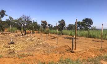 Imagem 12: Lote/Terreno para venda tem 400 metros quadrados em Ponte Alta Norte - Brasília - DF