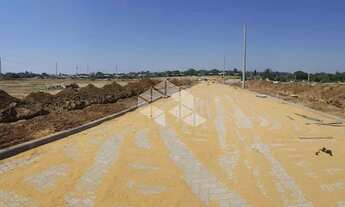 Imagem 6: GUAíBA - Terreno Padrão - Altos Da Alegria