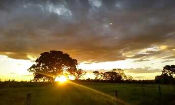 Imagem 5: VENDO FAZENDA EM ITORORÓ BOA EM REPRODUÇÃO DE GADO