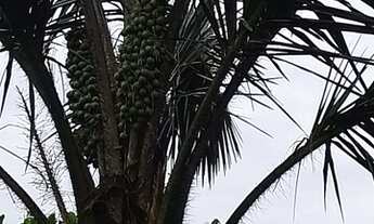 Imagem 2: Terreno a venda Terreno / lote com venda por R$7.000