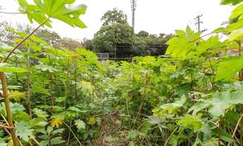 Imagem 6: Porto Alegre - Terreno Padrão - Vila Assunção