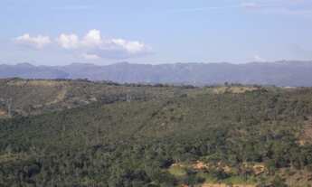 Imagem: Lindo baixado 80.000m² com luz, rio nos