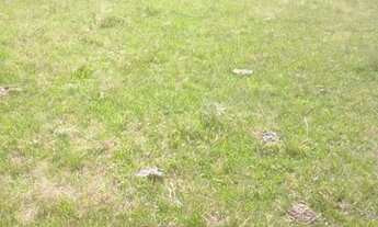 Imagem 4: Fazenda Porteira fechada ( AR 2749