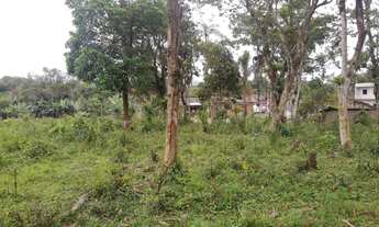 Imagem: Vendo sítio em Pirabeiraba