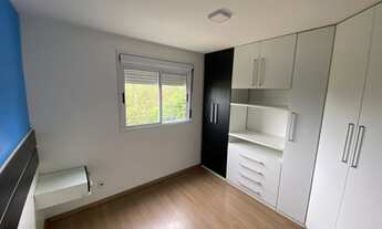 Imagem 3: Canoas - Padrão - Mato Grande