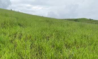 Imagem 4: Lotes em Jacareí - SP ótima oportunidades para sua casa de campo agende sua visita