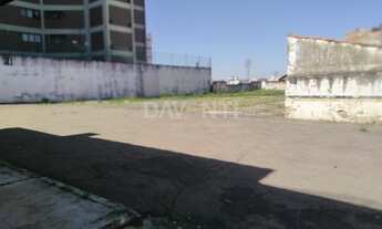 Imagem 4: área - Bosque - Campinas