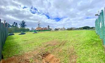 Imagem 6: Lote/Terreno para venda com 544 m2 - Vila Nova - Porto Alegre - RS