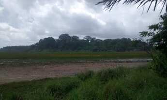 Imagem 5: Chácara à venda, Tracuateua, Bragança, PA