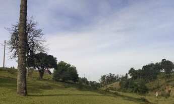 Imagem 5: Terreno para Venda em São Bento do Sul, Rio Vermelho Estação
