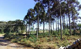 Imagem 4: TERRENO À VENDA