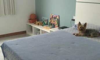 Imagem 5: Apartamento á venda Barbalho 3 Quartos 163 Mts- Lindooo!!