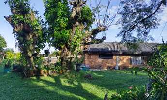 Imagem 7: Linda chácara (Paredão taquara