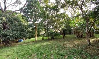 Imagem 6: VENDA TERRENO COM VISTA PARA O MAR - RIBEIRÃO DA ILHA - FPOLIS/SC