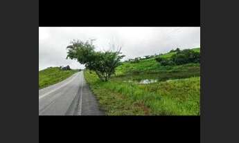 Imagem 2: Terra Fazenda / sítio com venda por R$1.600.000