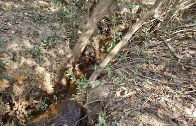 Imagem 5: Lote/Terreno para venda tem 20000 metros quadrados em Serra Azul - Mateus Leme - MG