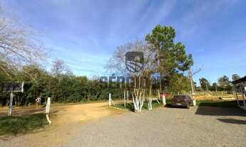 Imagem 2: Chácara com 1.600m², casa, galpão e arroio em Triunfo