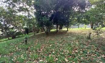 Imagem 4: VENDA TERRENO COM VISTA PARA O MAR - RIBEIRÃO DA ILHA - FPOLIS/SC
