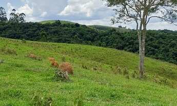 Imagem: Lote/Terreno para venda tem 600 metros quadrados