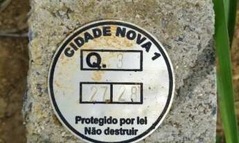 Imagem: Lote cidade nova 1 novo Gama lago azul