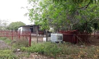 Imagem 5: V) Vende-se Fazenda de gado próximo a Buerarema