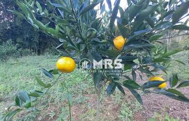 Imagem 3: Terreno para Chácara à venda, 2000 m² em Tijucas/SC