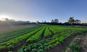 Imagem 3: Terrenos com Vista Excelente e fica na beira do Asfalto Ibiúna SP PM