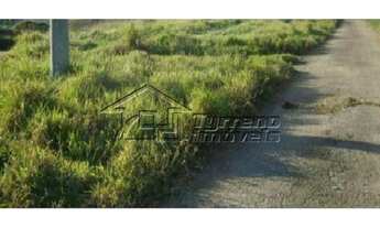 Imagem 2: Área em ótima localização