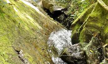 Imagem 2: Ótimo sítio na serra da Mantiqueira no sul de MG