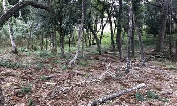 Imagem 5: TERRENO À VENDA