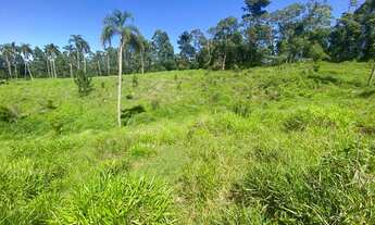 Imagem 5: 32L-Lote/Terreno para venda com 1000 metros quadrados em Jardim Disneylandia -Ibiúna - SP