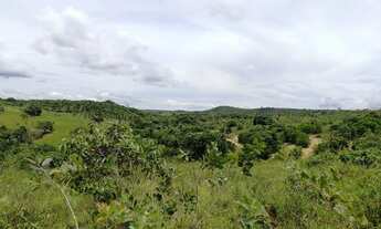 Imagem 4: Fazenda Fazenda / sítio com venda por R$1.350.000